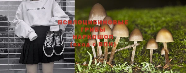 MDMA Premium VHQ Белокуриха