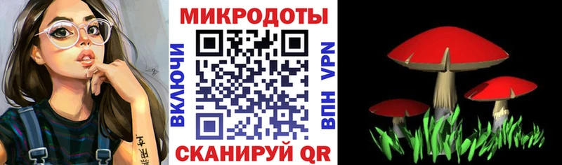закладка  Куса  Псилоцибиновые грибы GOLDEN TEACHER 